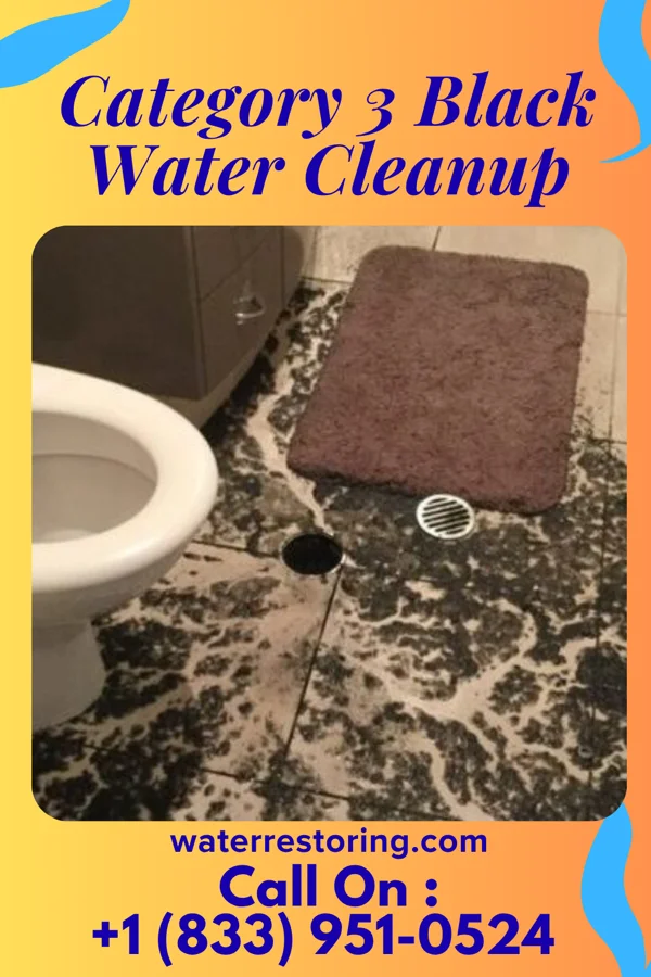 Category 3 Black Water Cleanup in Bolan, IA