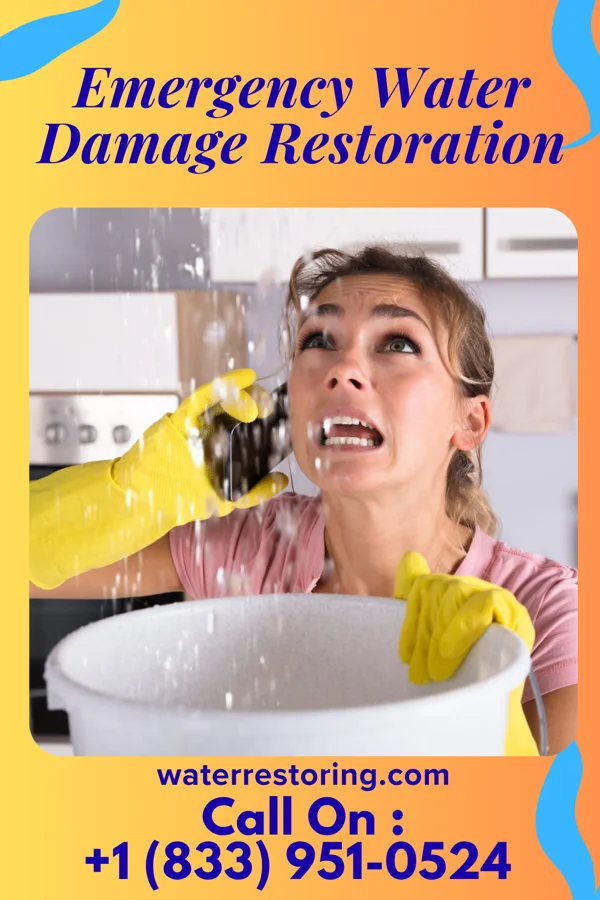 Emergency Water Damage Restoration in Bolan, IA