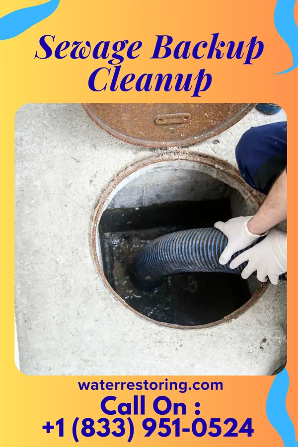 Sewage Backup Cleanup in Bolan, IA