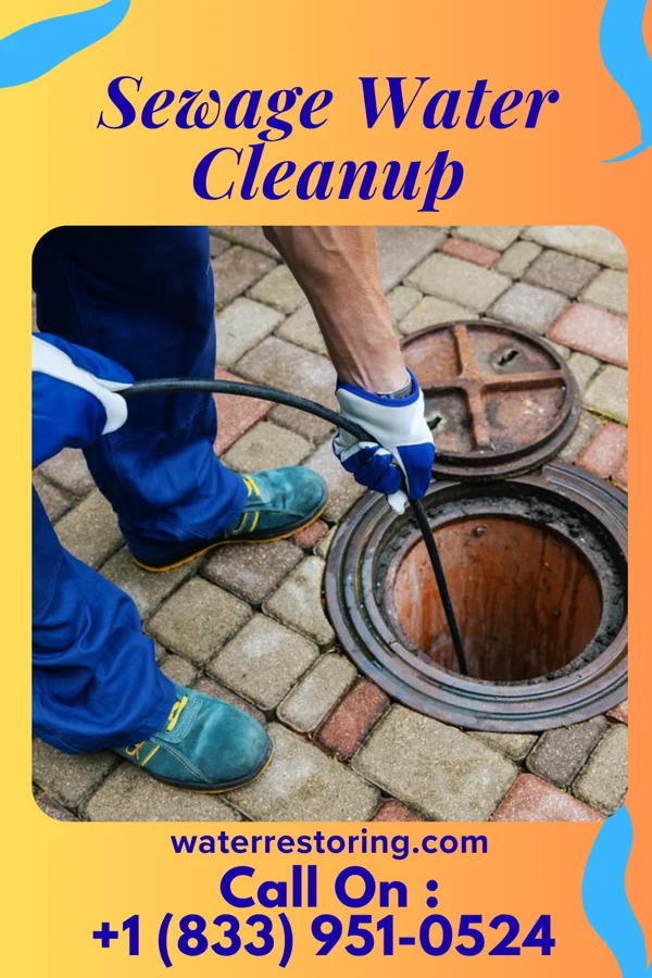 Sewage Water Cleanup in Bolan, IA