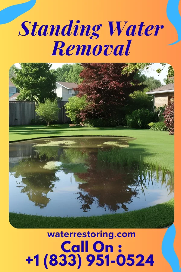 Standing Water Removal in Bolan, IA